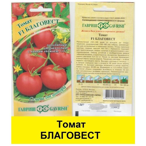 ������ ������ ������ ����� ��������� ����