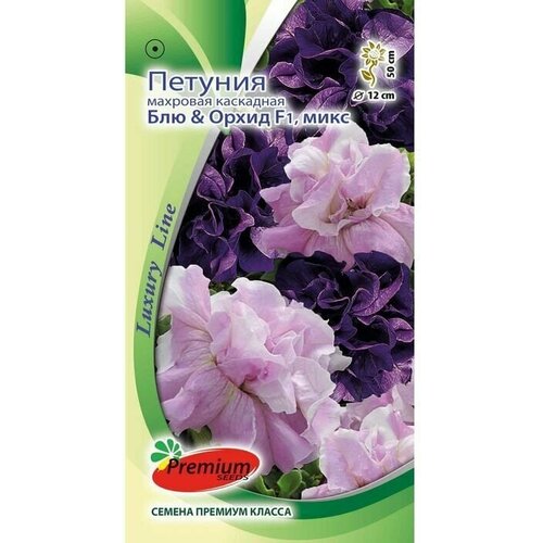 ������ ������ ������ ������ �������� 2299001 ������� �������� ��������� ���&����� F1, �����, �, 10�� ����