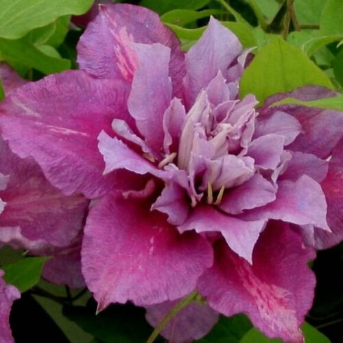 ������ ������ ������ �������� ��������������� ����� 0,05 � (1 ��������) ����