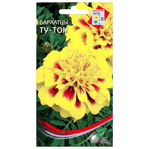 ������ ������ ������ �������� ��-��� 80�� ��� ����, ����, �������, ������� / ������� � �������� �������� ����