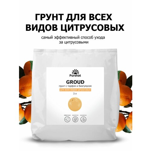 ������ ������ ����� (�����) ��� ���������� (�����, ��������, �������) ������. ����������� ���������� � ������ � ���������� (Purshat) 3 � ����