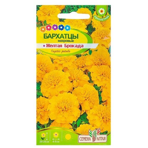 ������ ������ ������ ������ �������� 