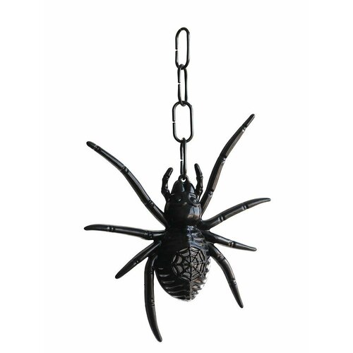 ������ ������ ���� �� �������� ��������� / ��� ����, ���� ����