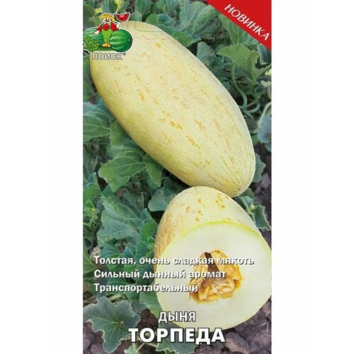 ������ ������ ���� 