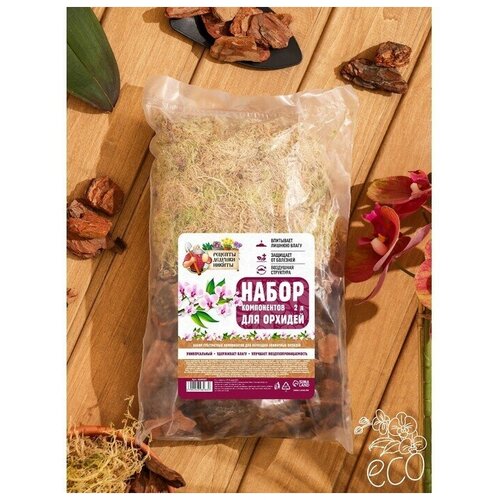 ������ ������ ����� ����������� ��� ������� 