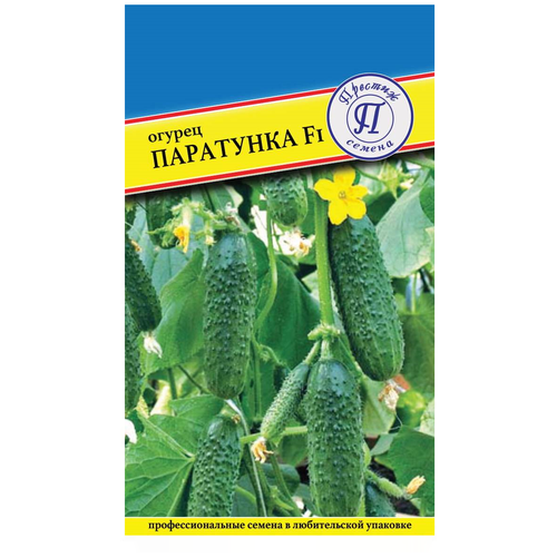 ������ ������ ������ / ������� ������ / ������ ������ ��������� F1 ����