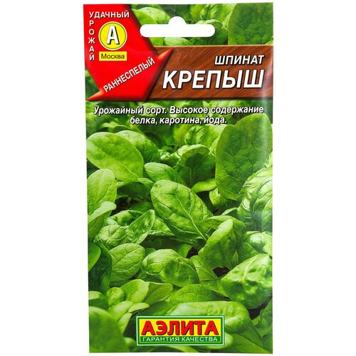 ������ ������ ������ ������ 