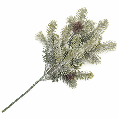 ������ ������ CQ21-Z012 ����� ������ � ������� 35�� ����