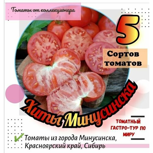 ������ ������ ����� ������� 