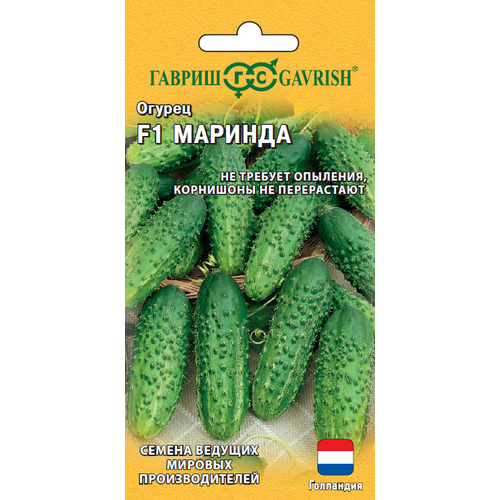 ������ ������ ������ ������ ������� F1 �������� 5�� ��� ������ (������) ����