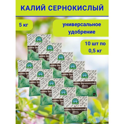 ������ ������ ��������� ����� �����������, 5 ��. ����