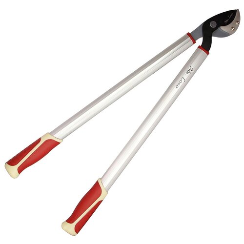 ������ ������ �������� ������� ������� Mr.Logo ���. 3660� ��� ������� ������� ����� ����