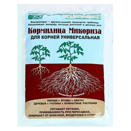 ������ ������ ��������� 