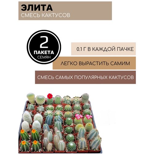 ������ ������ ����� ������� ����� ����� 2 ������ �� 0,1� ����� ����