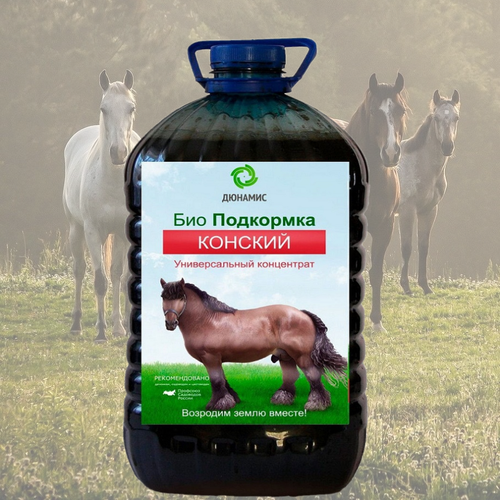 ������ ������ ������� ����� ������� Viva. ������ ����������. 5� ����