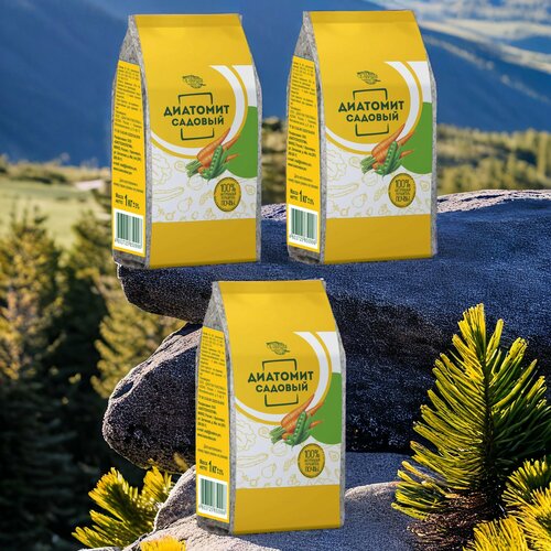 ������ ������ �������� 1��. 6� / 3��. ������� �������. ����