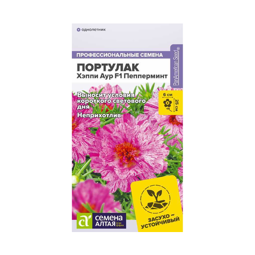 ������ ������ ������ �������� ����� ��� F1 ���������� 4�� ��� 25�� (������ �����) ����