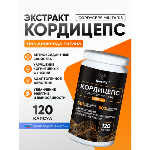 ������ ������ ��������� �������� ������� 120 �� �� 500 ���������� ����