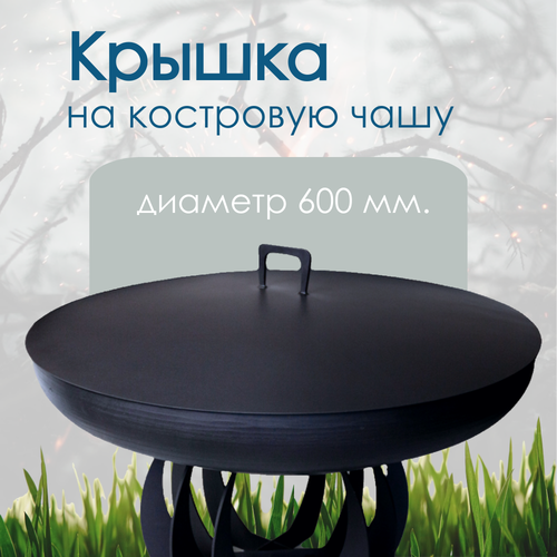 ������ ������ ������ ��� ��������� ���� �� ������� 600 ��. ���� ������ ������� ����