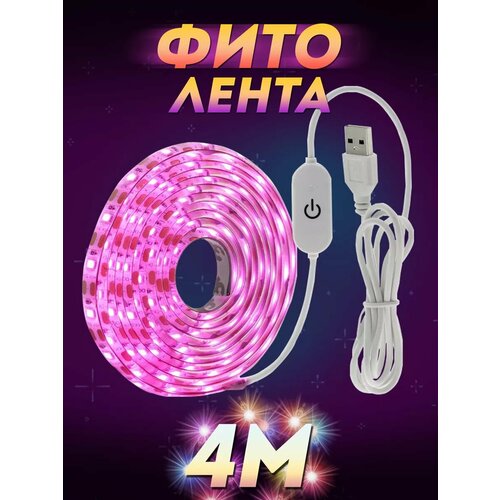 ������ ������ ������������ ����� ��� ������� ����