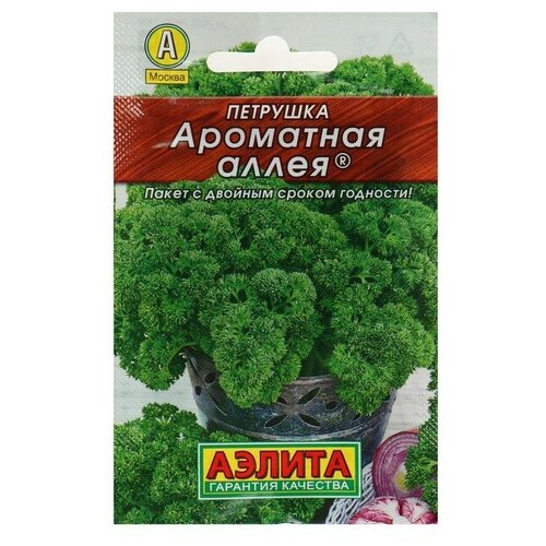 ������ ������ �������� �������� 