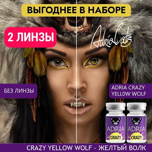    ADRIA Crazy, 2 ., R 8,6, D 0, yellow wolf, 2 .   -     , -,   