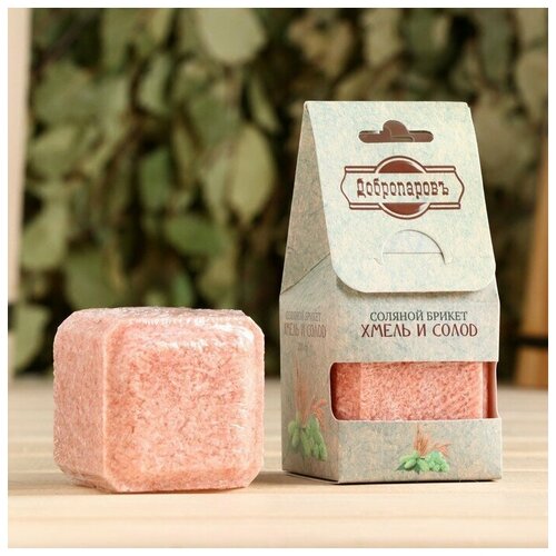 ������ ������ ������� ������ 