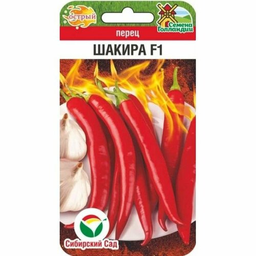 ������ ������ ������ ����� ������ ������ F1 ��. (��������� ���) 5�� ����