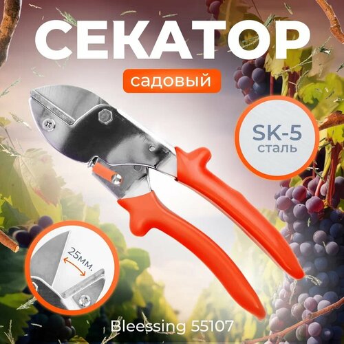 ������ ������ ������� ������� Blessing 55107 ����