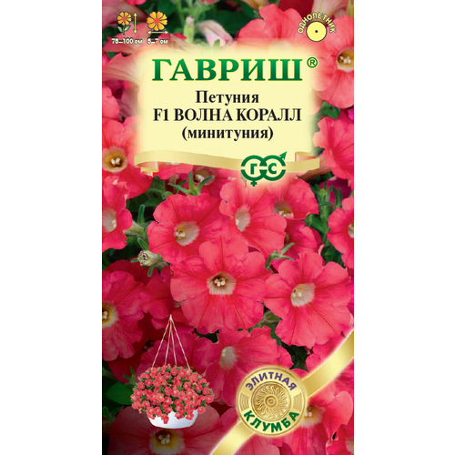 ������ ������ ������ ������� ��������� ����� ������ F1 �������������� 4�� (������) ������� ������ ����