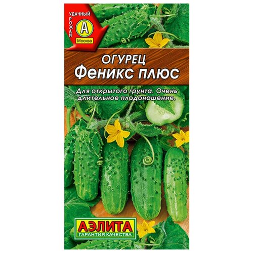 ������ ������ ������. ������ 