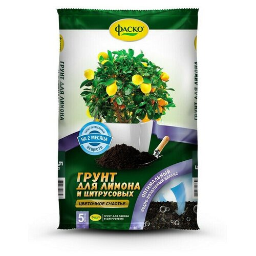 ������ ������ ����� ��� ���������� � ������ 5� ��������� ������� ����� . ����