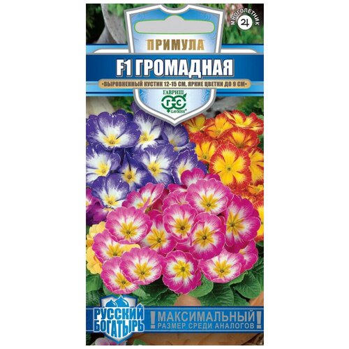 ������ ������ ������ ������� ��������� F1, �����, 5��, ������, ������� �������� ����