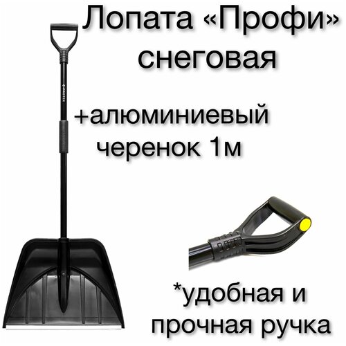 ������ ������ ������ �������� 