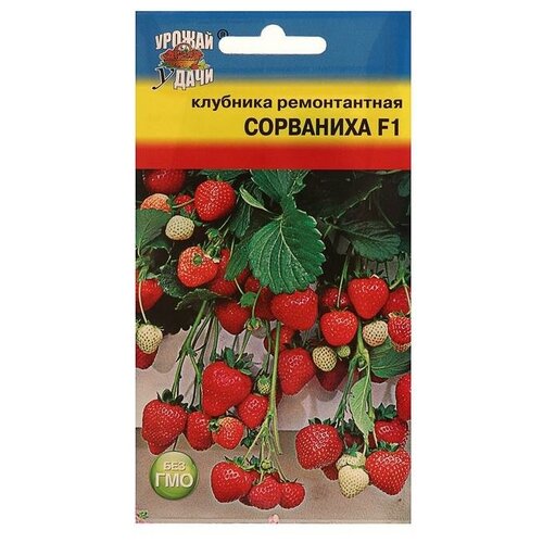 ������ ������ ������ �������� ������. 