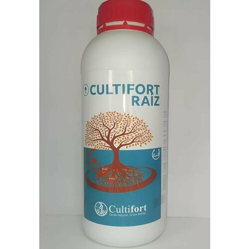 ������ ������ ���������� ���� 1� Raiz ����