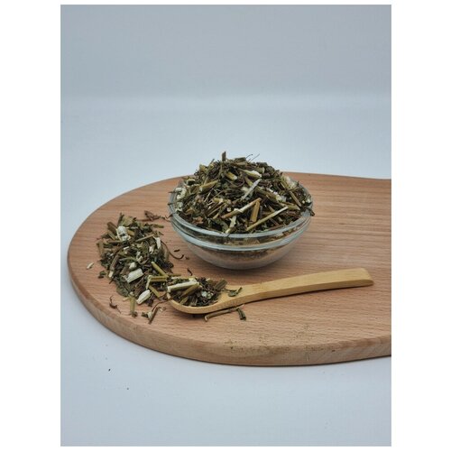 ������ ������ ������ ����� 1�� ����