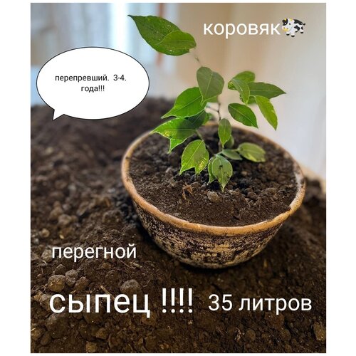 ������ ������ ������� �������� ����� ����