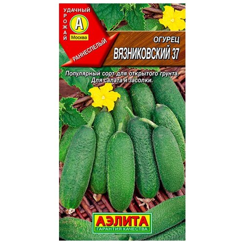 ������ ������ ������ 