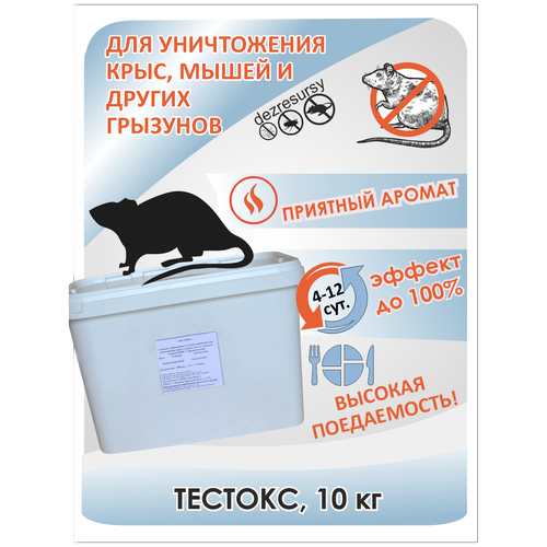 ������ ������ ������� 10�� �������� �� ����, �����, �������� ����