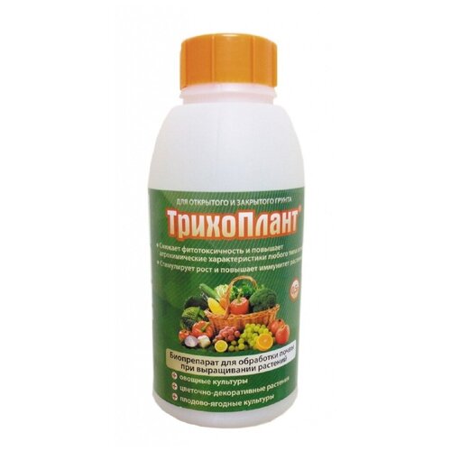 ������ ������ ������� ���������� 0,5 � ����