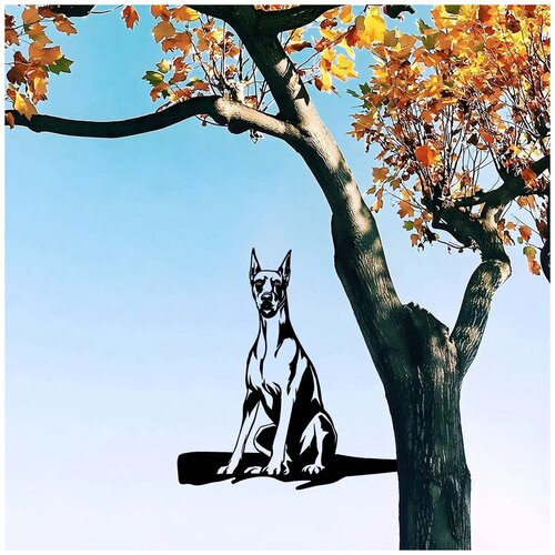 ������ ������ ������� ������ �� ������� ������ �������� ����