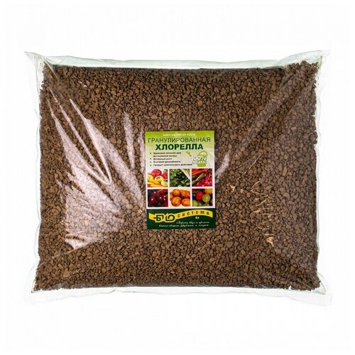 ������ ������ ������������� ����� �������� ��������������� 6�, �������� ��������� �������� ����