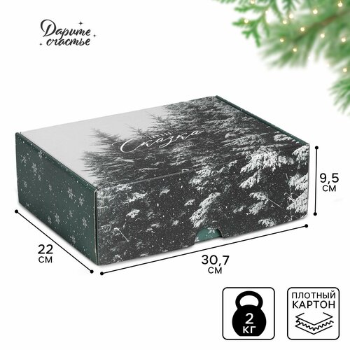 ������ ������ ������� ���������� ������� ������, 30.7 � 22 � 9.5 ��, ����� ��� ����