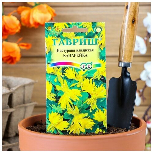 ������ ������ ��������� ��������� ���������, 0,7 � ����