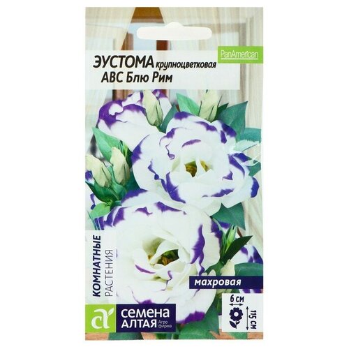 ������ ������ ������ ������ ������� ABC ��� ��� ��������, ��, 5 ��. ����