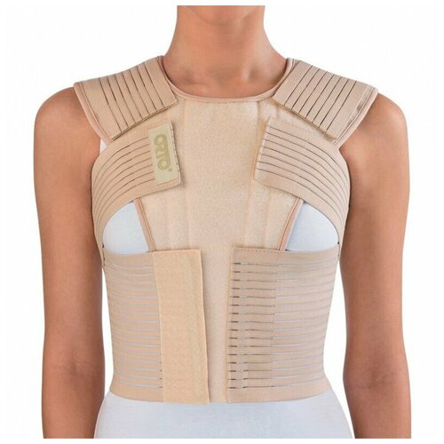 ������ ������ ������ �� ������� ������ Orto �� 440 (XL) ����