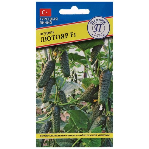 ������ ������ ������ ������� ������ ������ ������ F1, 5 �� ����