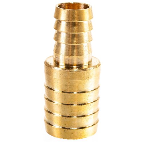 ������ ������ ���������� ��������� ��������� ������� 12�� - 19�� ����