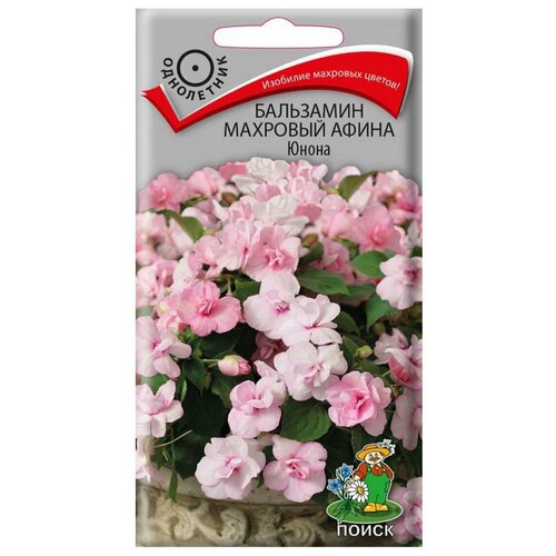 ������ ������ ������ ��������� �������� ����� ����� ���������� 5 ��. ����